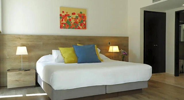 Одноместный номер Executive с видом на горы Mod Hotels Mendoza