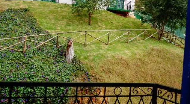 Номер Standard с балконом Golden Forest Pousada