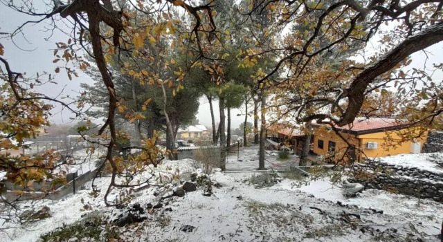 Коттедж Etna Country Home