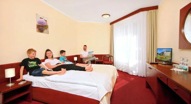 Номер Economy Wellness Hotel Svornost