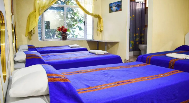 Семейный номер Standard Hotel Amigo