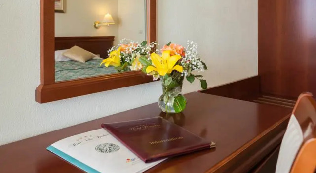 Семейный номер Standard с балконом и с видом на парк Hotel Villa Bacchus