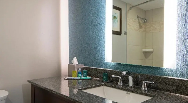 Полулюкс Standard DoubleTree by Hilton - Kamloops