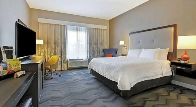 Одноместный номер Premium Hampton Inn by Hilton Turlock