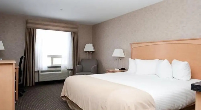 Номер Standard Paradise Inn and Suites