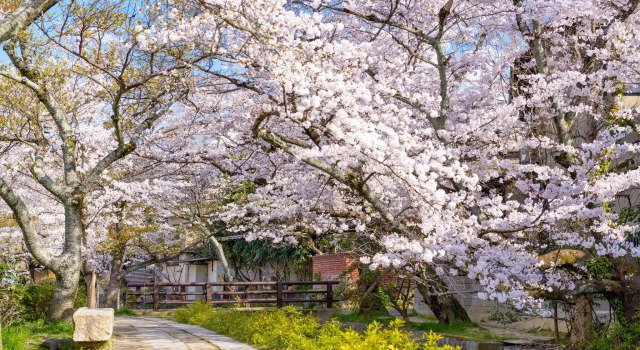 Saga Ikkyu, Varaa Hotelli Uji Kioto