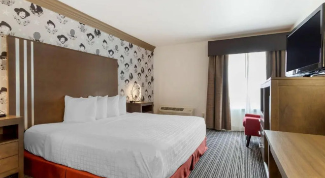 Standard Zimmer Aiden Austin City Hotel