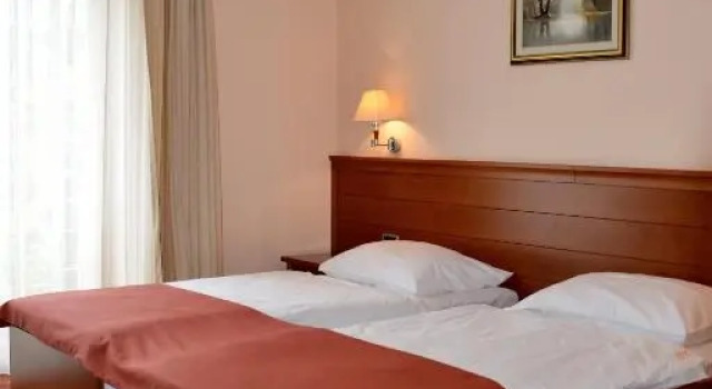 Номер Standard Hotel Mladimir