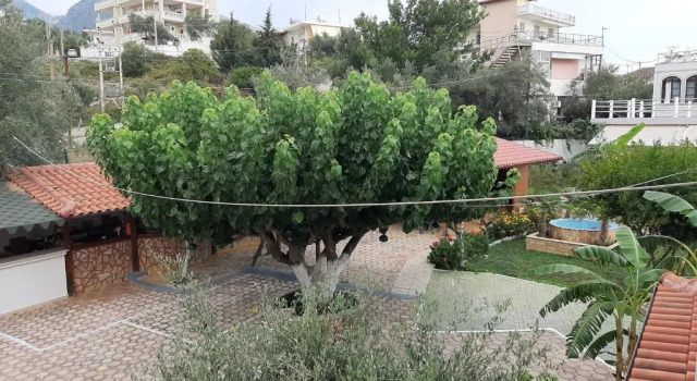 Yard Paradise Hotel, Rezervasyon Otel Dhërmi Vlorë County