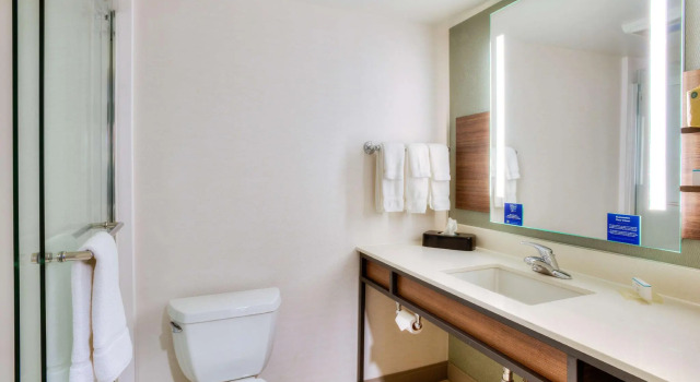 Номер Standard Hilton Garden Inn Indianapolis Northeast/Fishers