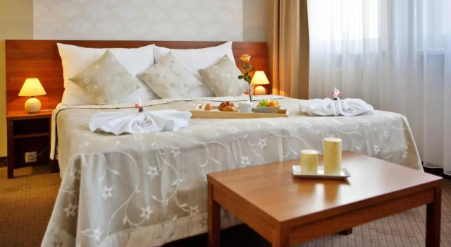 Двухместный номер Standard Hotel Janosik
