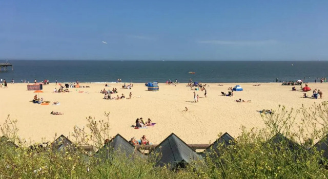 Апартаменты Moray Beachside Apartments