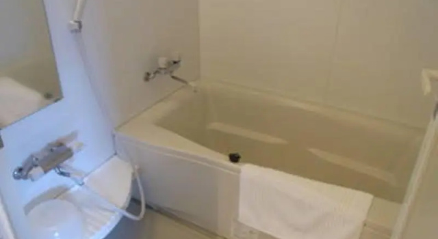 Двухместный номер Standard L and L Hotel Senryu