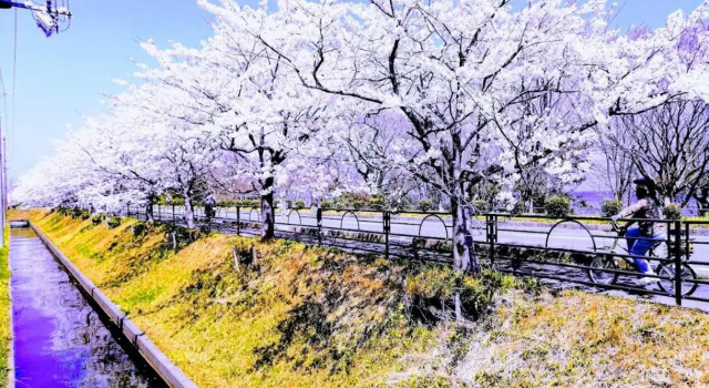 静かに過ごす古民家STAY in 高島 トイレシャワー共用, Buchen Sie Hotel Takashima Lake Biwa