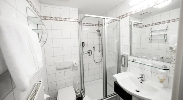 Номер Standard Hotel Weisses Lamm