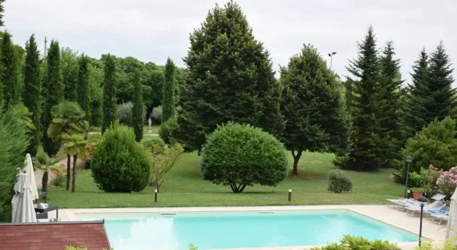 Номер Standard Park Hotel Elefante