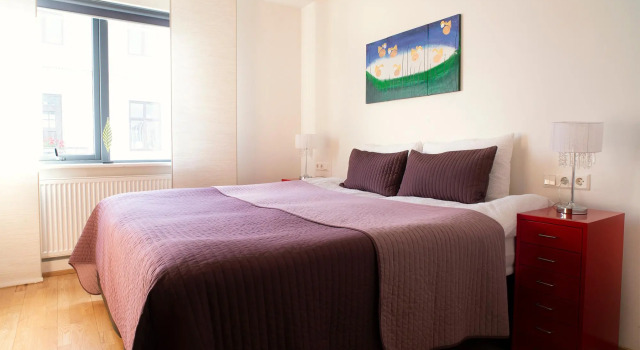 Апартаменты с 2 комнатами Reykjavik4You Apartments