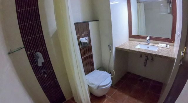 Номер Executive Hotel Shyam Paradise