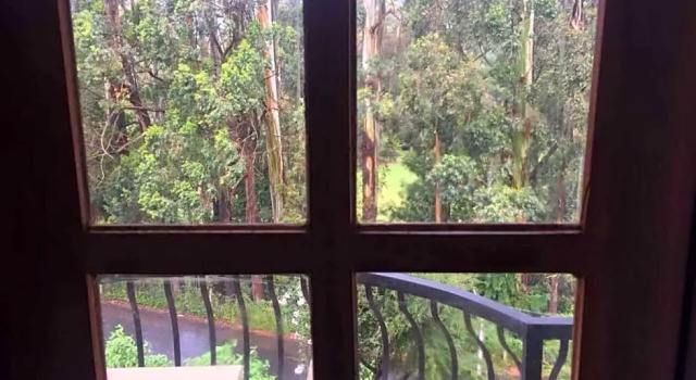 Номер Standard Panorama Green View Hotel Nuwara Eliya
