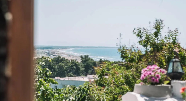 Студия Bivalvia Apartments