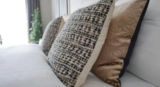Hotel Astoria The Hague, Book Hotel The Hague City Centre 