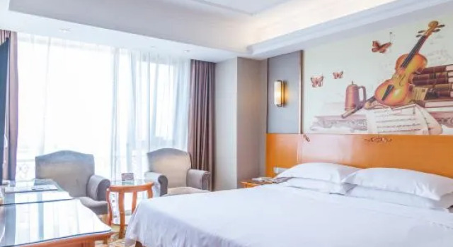 Люкс Deluxe Vienna Hotel (AanhuiSuzhou shizhengfuYunjishangyejiedian)