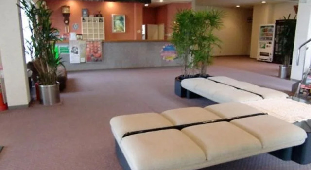 Hotel Ukai, Prenota Hotel Hotel a Koshinetsu con parcheggio, Parcheggio