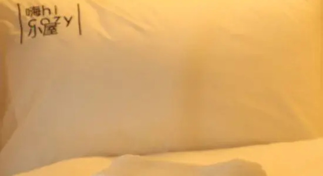 Кровать в общем номере (мужской номер) Hi Cozy International Hostel East Nanjing Road & The Bund & 24h English Services