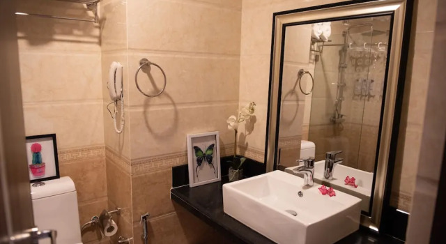 Двухместный номер Deluxe Sonia Hotel