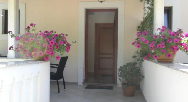Апартаменты Apartments Grzin