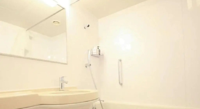 Номер Moderate Semi-Double Hotel Plumm