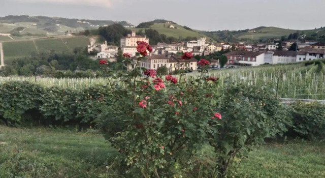 Апартаменты Dimora Palma di Barolo