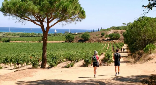 Вилла с балконом Villa in Gassin near Saint Tropez Beaches