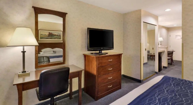 Одноместный люкс Comfort Inn Bellingham