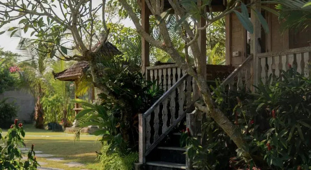 Люкс Standard Aswanaya Villas Ubud