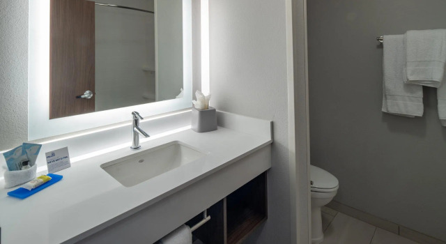 Номер Standard Holiday Inn Express & Suites - Little Rock Downtown by IHG