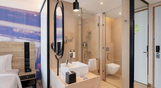 Двухместный номер Superior Novotel New Delhi City Centre