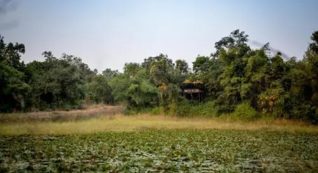 Tree House Hideway Bandhavgarh