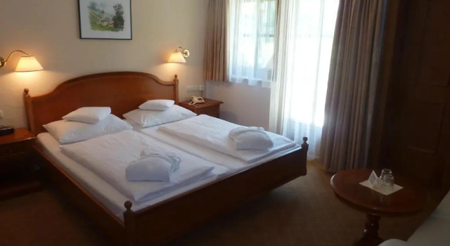 Двухместный номер Standard Hotel Waldheim Garni