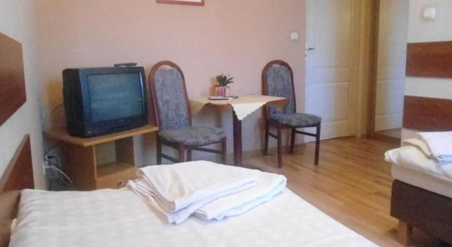 Двухместный номер Standard Hotel Pod Platanami