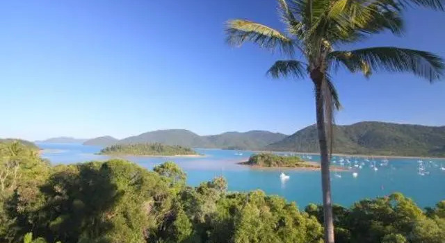 Номер Standard Coral Point Lodge