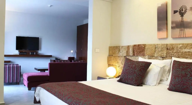 Suite singola Executive Monoberge Hotel