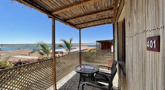 Двухместный номер Standard Курорт Turtle Beach Resort