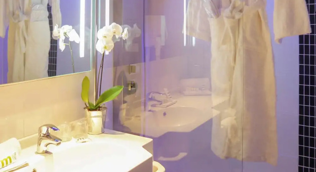 Двухместный номер Classic Mercure Brive