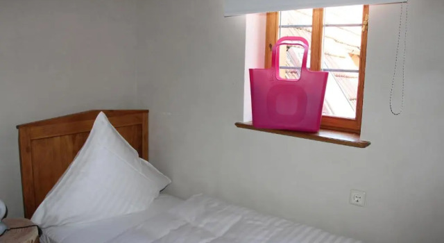 Одноместный номер Standard Hotel Turmdieb