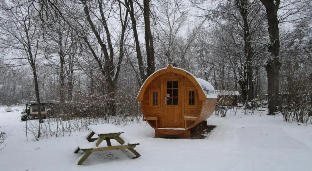Номер Standard AZUR Waldcamping Auwaldsee