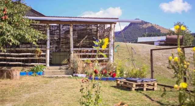 Номер Standard Guest House Old Omalo
