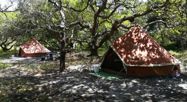 Тент Cashew Nut Bungalow, Ko Mook