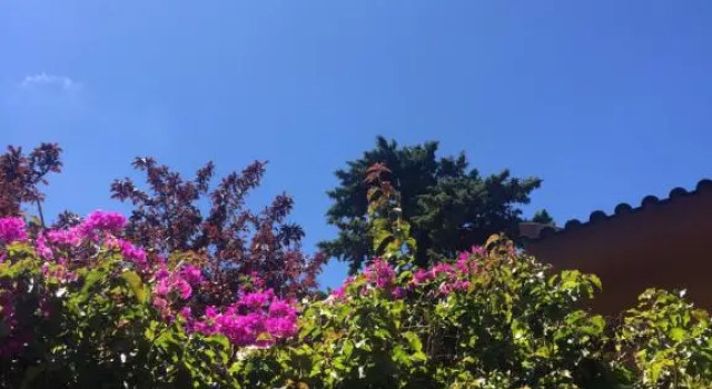 Lei Home