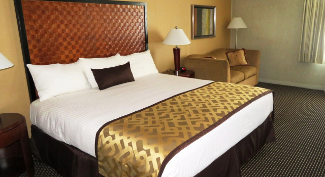 The Skyline Hotel